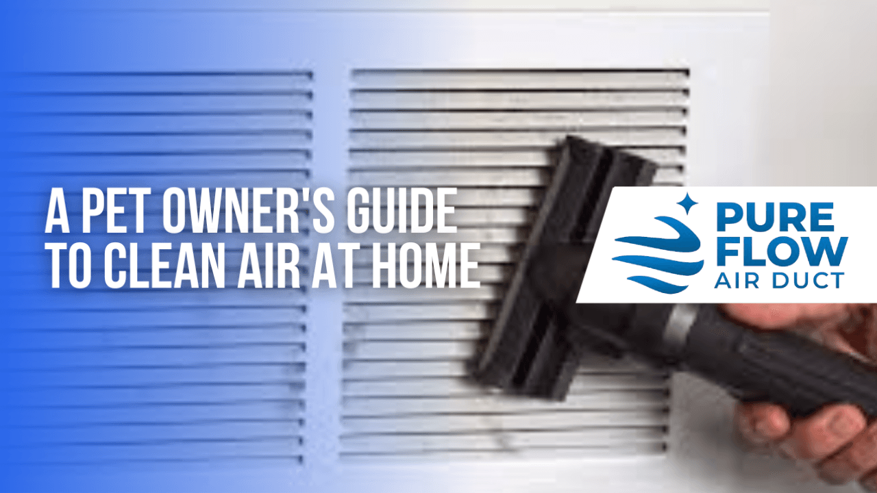 A Pet Owner's Guide to Clean Air at Home