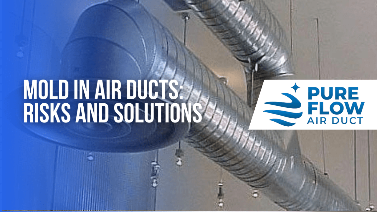 Mold in Air Ducts: Risks and Solutions