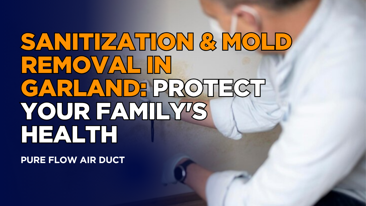 Sanitization & Mold Removal in Garland: Protect Your Family's Health