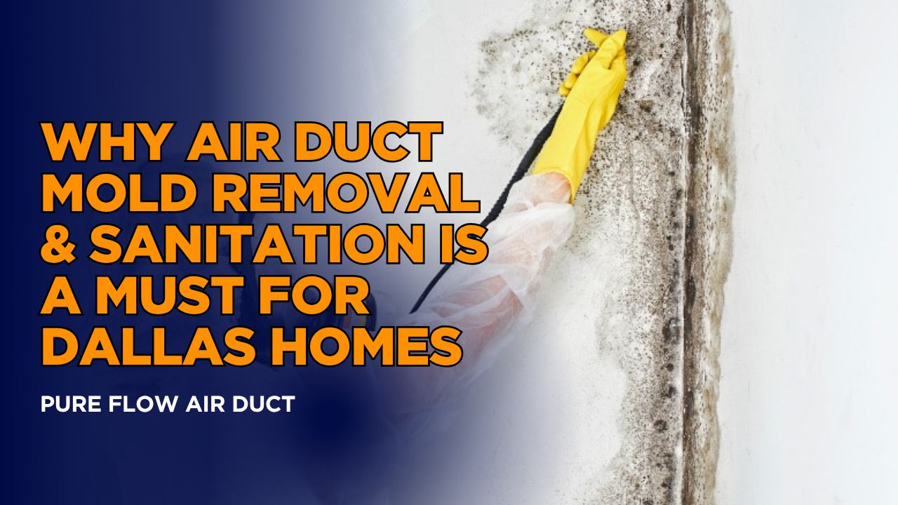 Air Duct Mold Removal Dallas - Essential Home Safety