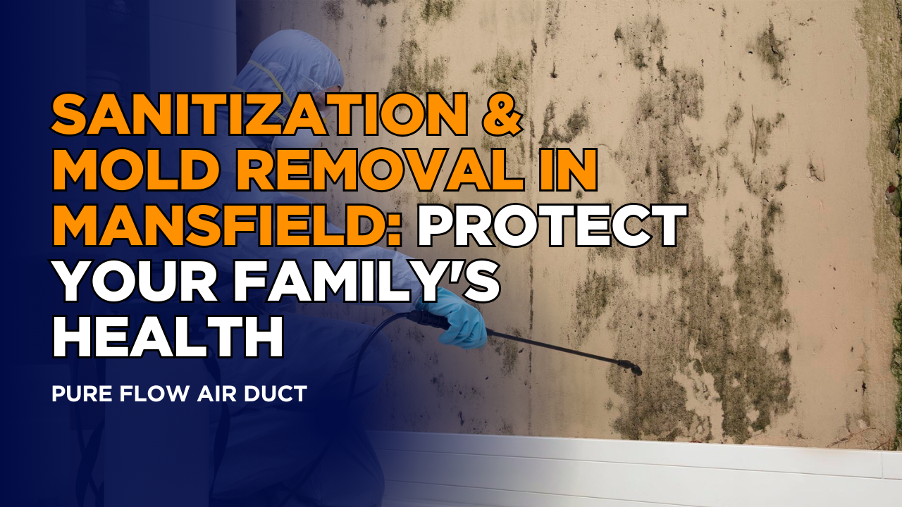 Sanitization & Mold Removal in Mansfield: Protect Your Family's Health