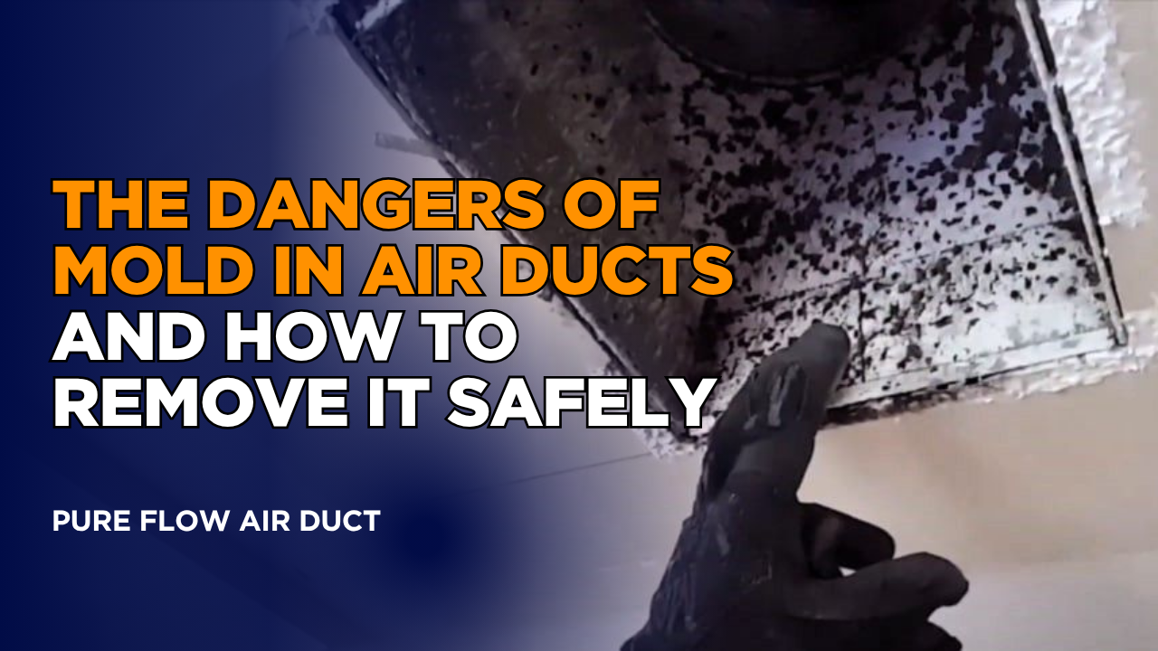 Mold in Air Ducts - Dangers & Safe Removal Guide