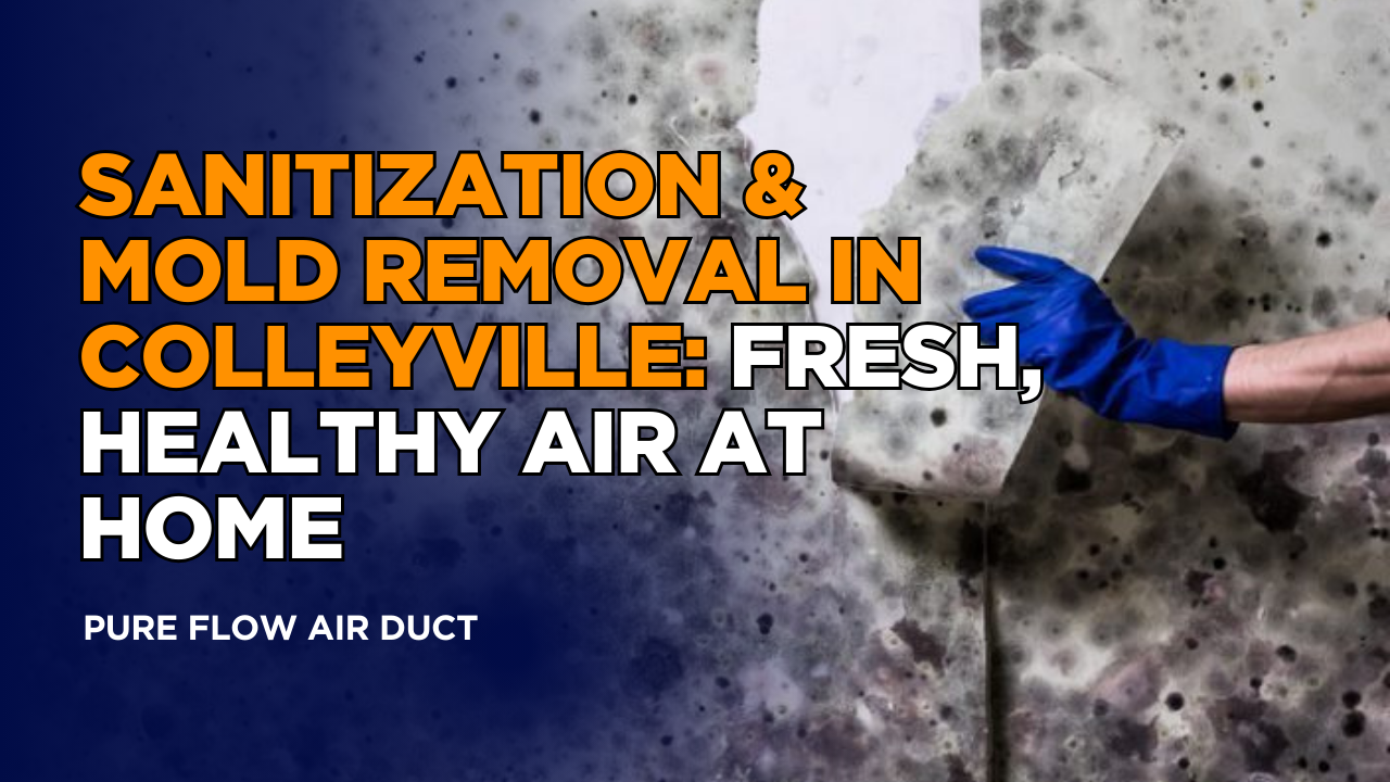 Sanitization & Mold Removal in Colleyville: Fresh, Healthy Air at Home