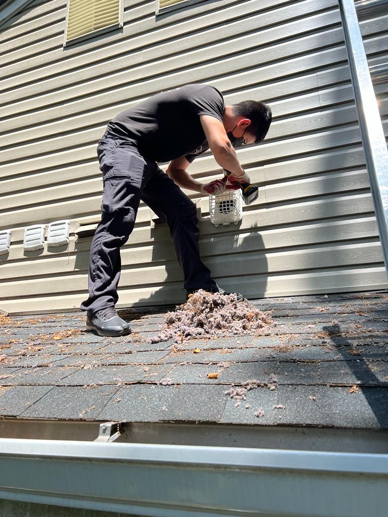 Dryer Vent Repair & Replacement