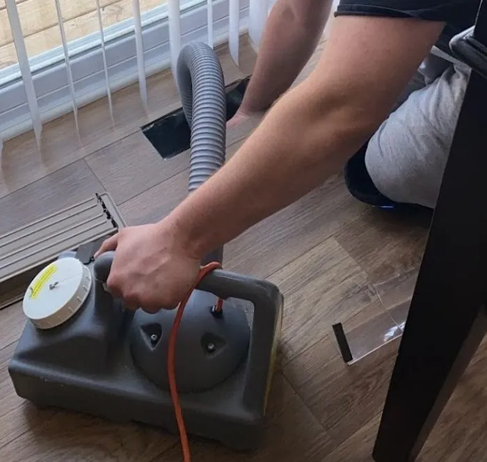 Sanitization & Mold Removal